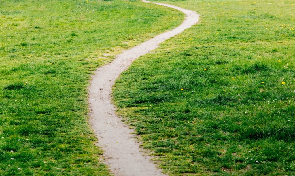 wavy-path-trodden-by-people-across-the-meadow