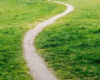 wavy-path-trodden-by-people-across-the-meadow